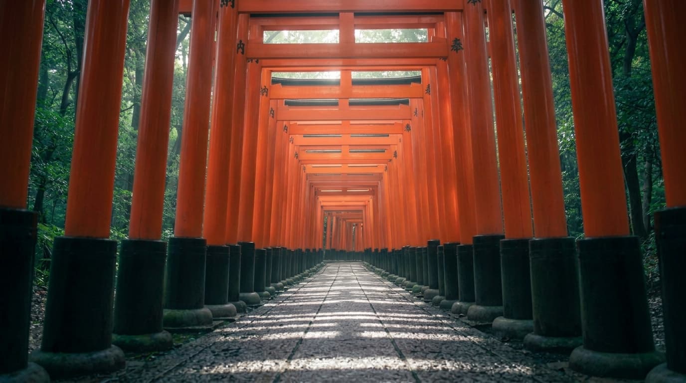 Empty vermillion torii gate tunnel at dawn, Fushimi Inari