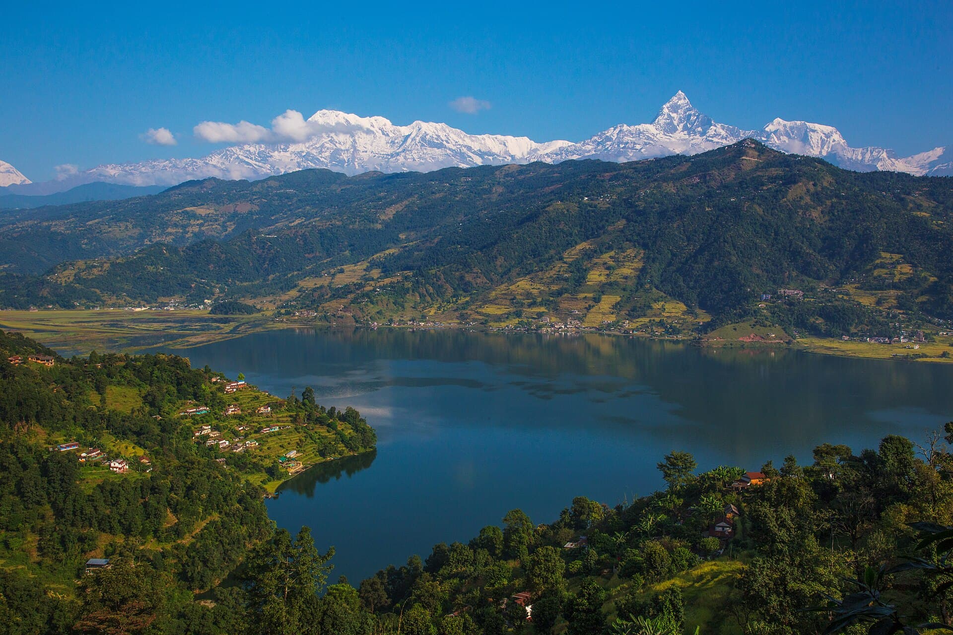 Boats on Phewa Lake at Pokhara, Nepal