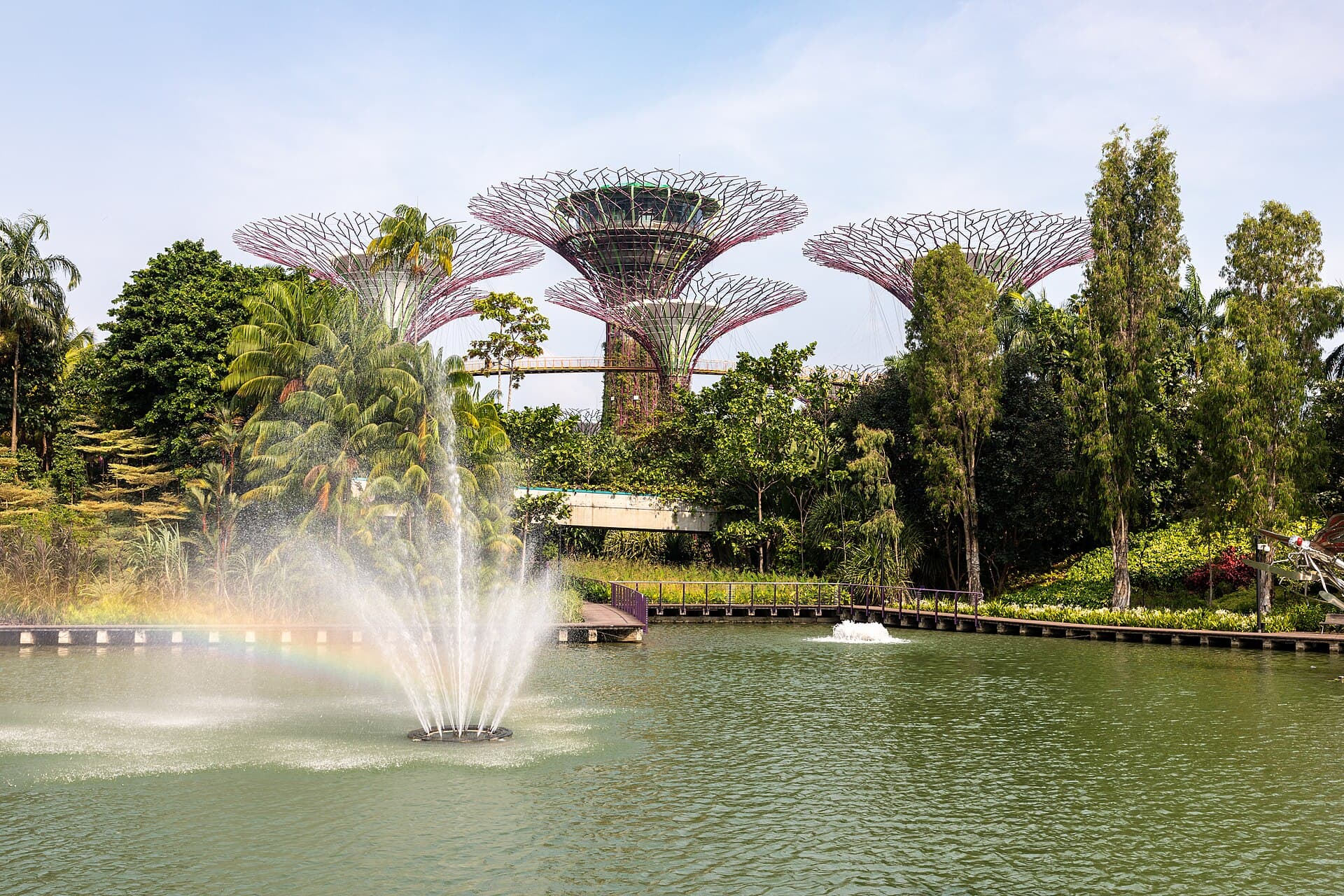 Gardens by the Bay with the Supertrees, Singapore