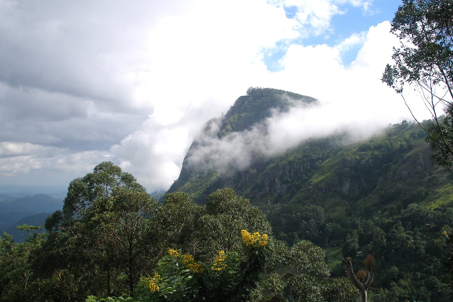 Tea-covered hills around Ella, Sri Lanka