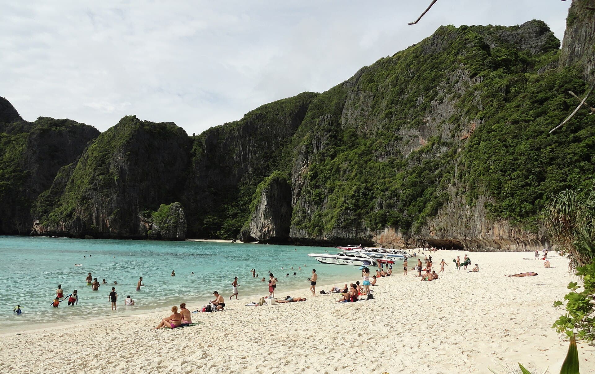 Longtail boats in Maya Bay among the limestone cliffs of Phi Phi, Thailand