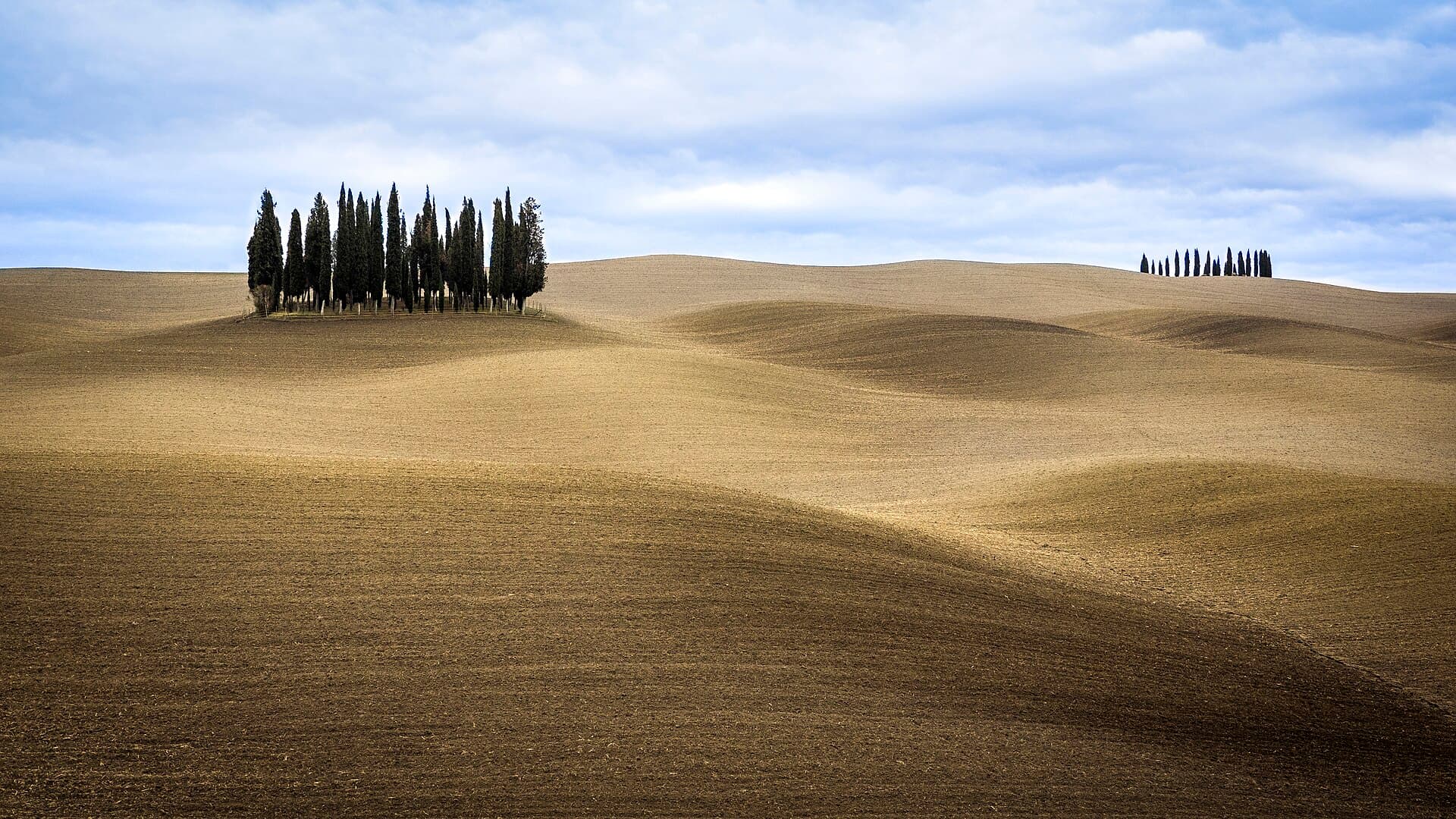 Cypress-lined hills of the Val d’Orcia, Tuscany, Italy
