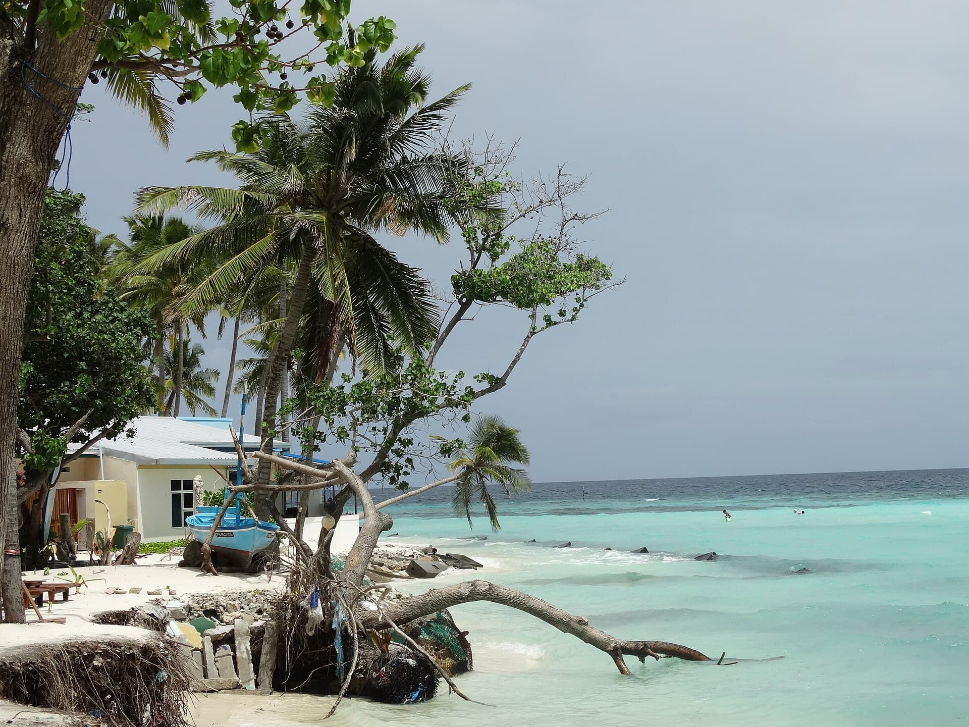A white-sand beach on Maafushi local island, Maldives